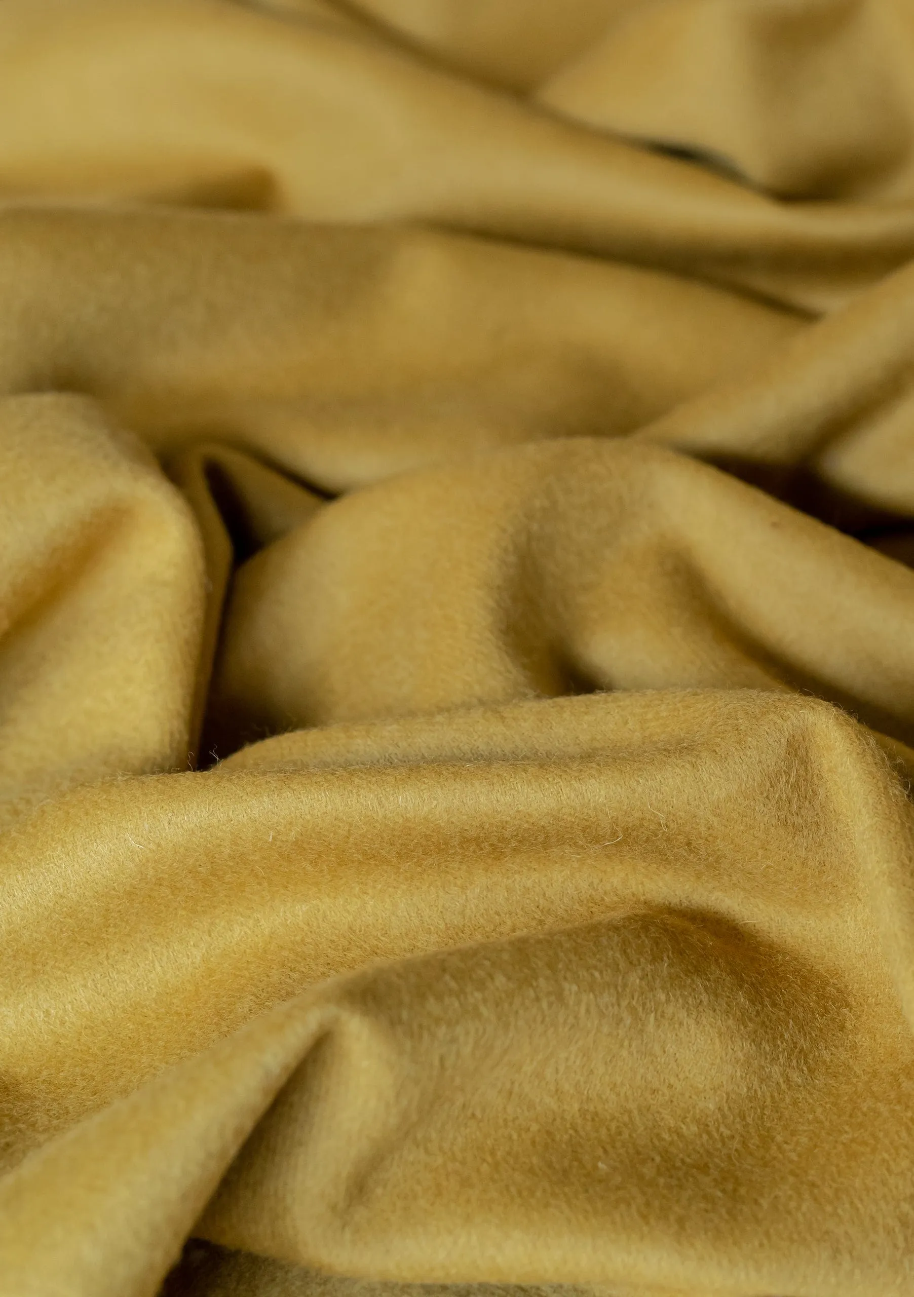 Lambswool Scarf in Mustard