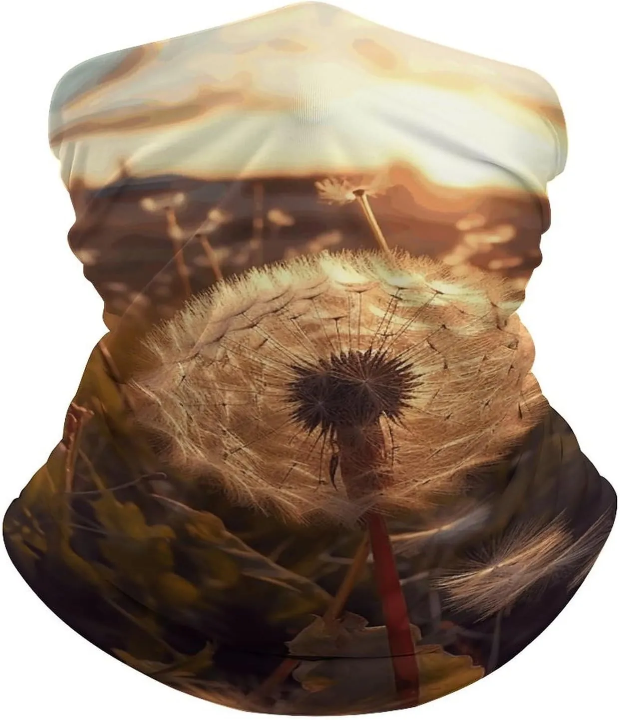 Neck Gaiter Dandelions at Sunset Balaclava Windproof Face Mask Scarf for Men Women Sun Protection Headwear Breathable Face Cover Bandana for Skiing Hiking 19.6x9.8 Inch